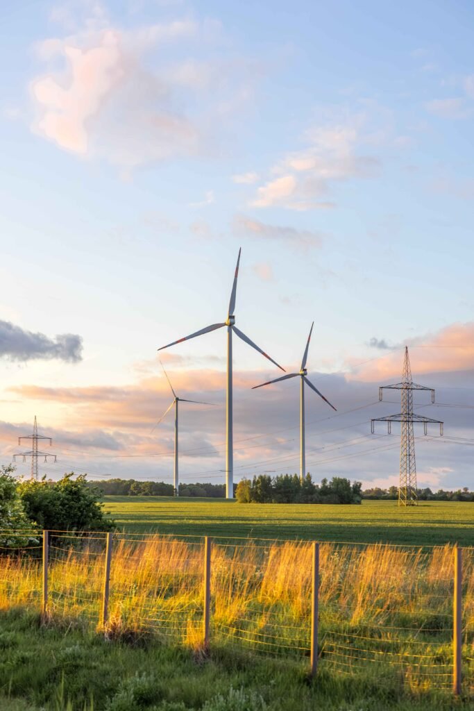 Wind farm as example of renewable resource